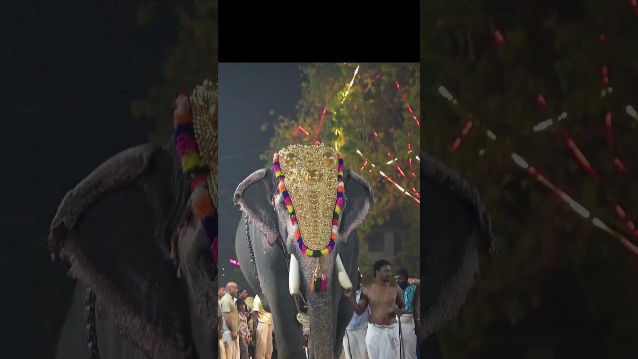 Kerala#festival #vaikomtemple #youtubeshorts #shortvideo #shorts #elephant #ambalam
