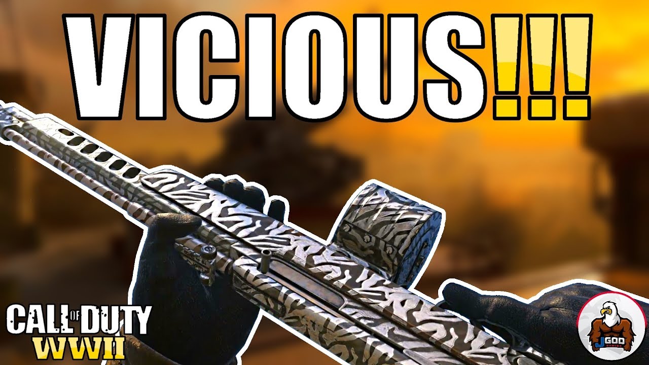 The Best AS 44 Commando DLC Rifle Class Setup | Call of Duty WW2