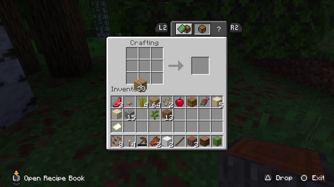 How to play mincraft and more
