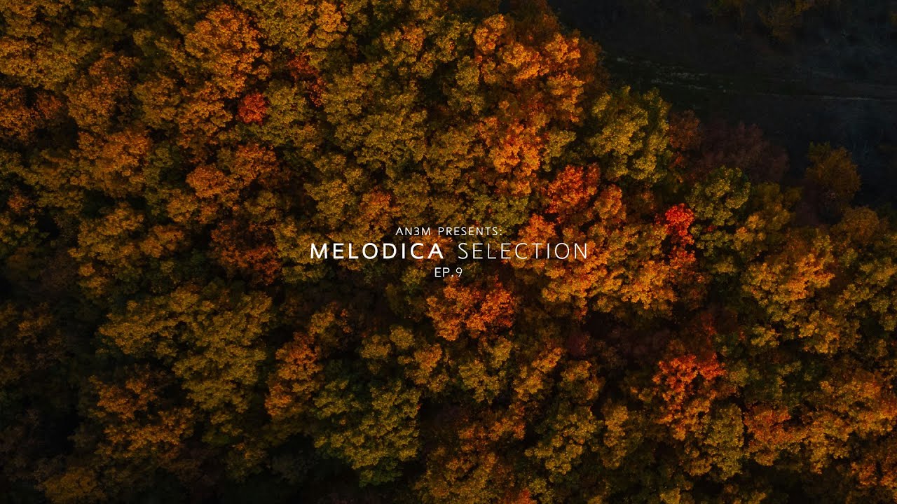 AN3M Presents: Melodica Selection - EP.9 (Tinlicker, Dirty South, Robby East...) | Melodic House Mix