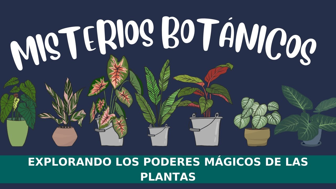 MISTERIOS BOTÁNICOS 🌿 Explorando los Poderes Mágicos de las Plantas🌿