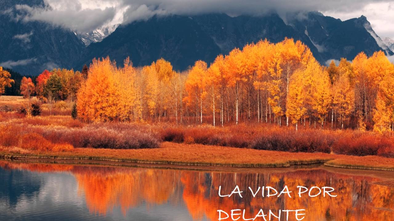 Manolo Tena - La vida por delante (Casualidades)