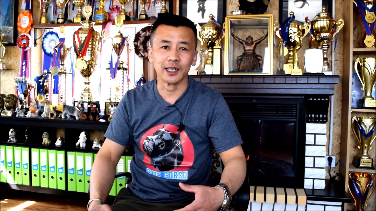 Анх нохой сонгож авахад юу анхаарах, нохой тэжээхийн сайн тал.