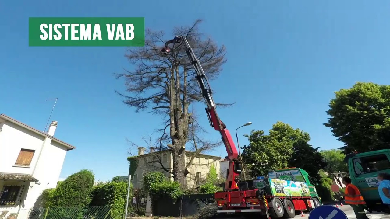 Abbattimento pianta di grandi dimensioni con gru , nuovo sistema