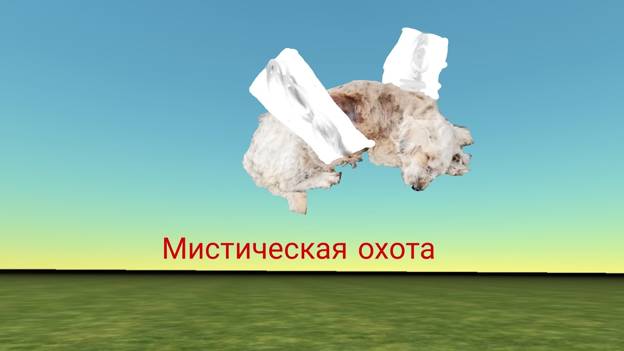 МИСТИЧЕСКАЯ ОХОТА НА ДРУЖКА