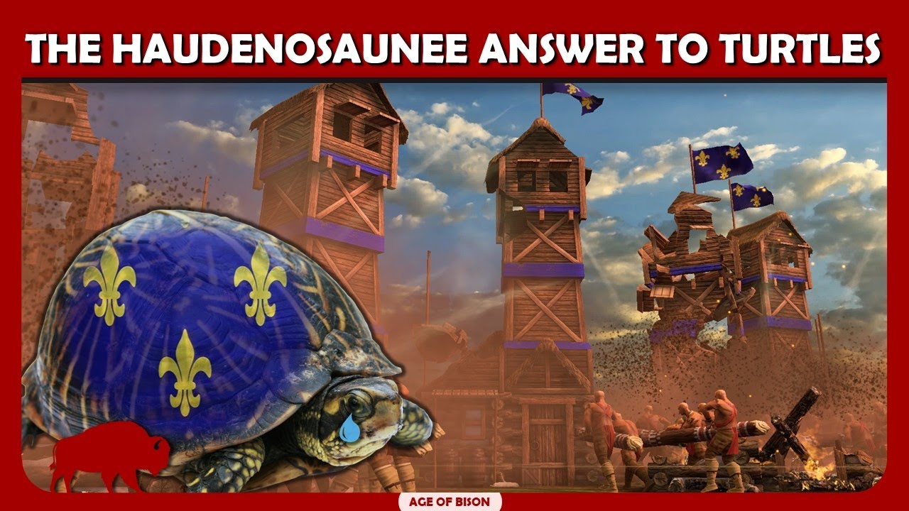 French turtle dream shredded // Casted Game // Age of Empires 3