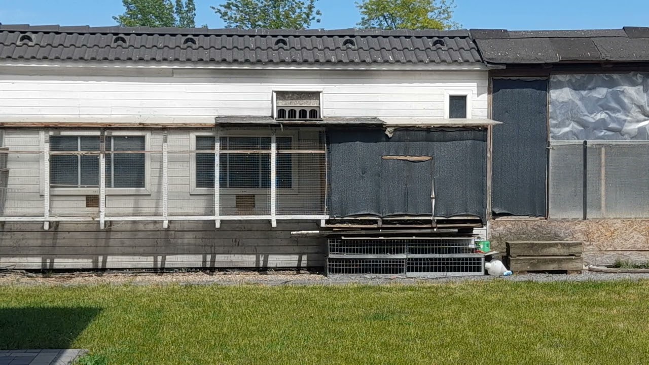 Lot nr.4, Wronki 340km. Czarna niedziela?