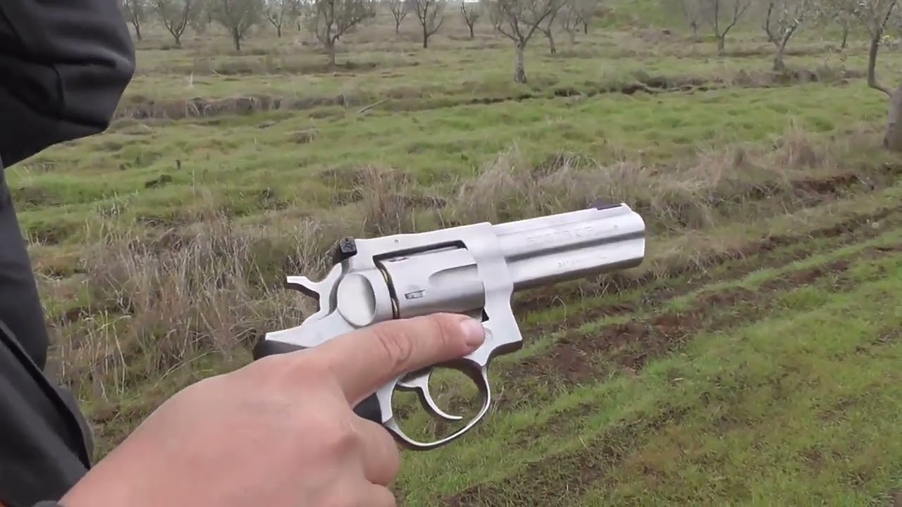Smith & Wesson 686 VS Ruger GP100