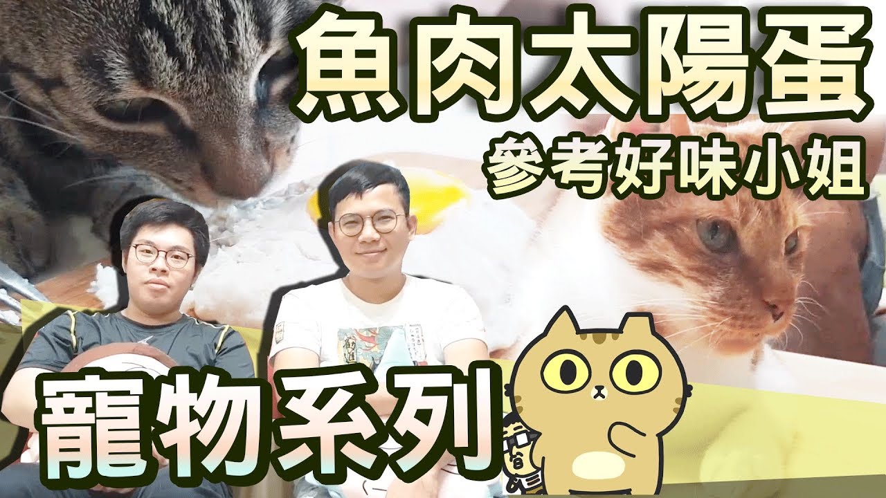 【寵物系列】#7 有一種貓叫做別人家的貓 feat.辛卡米克、阿尼、麥麥