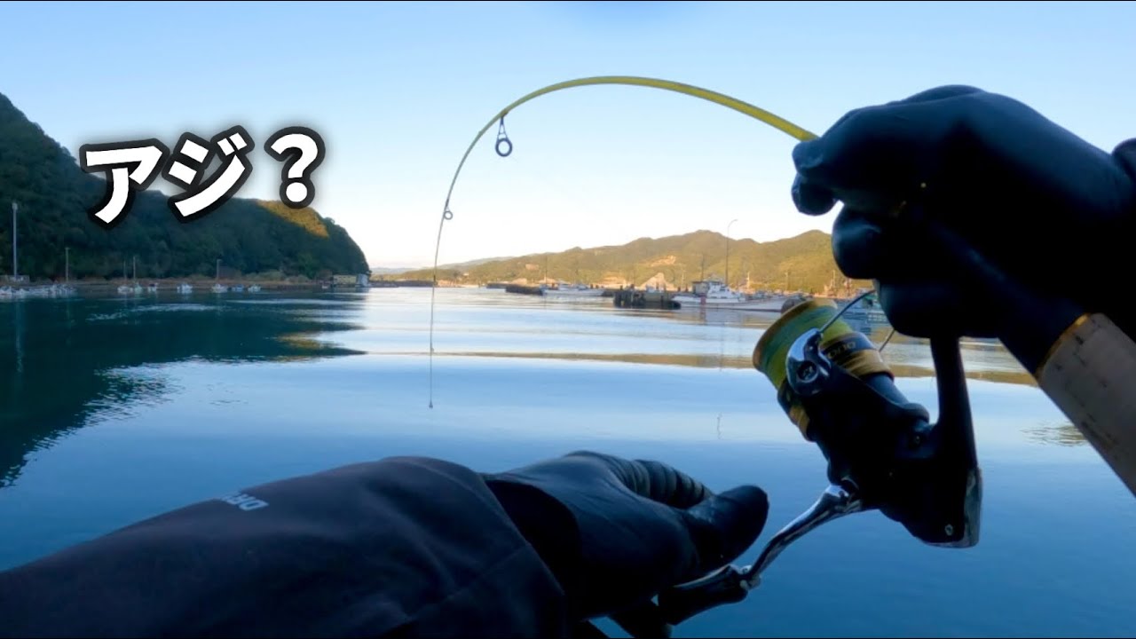 【ミャク釣り】真冬の朝マズメにアジは釣れるのか？