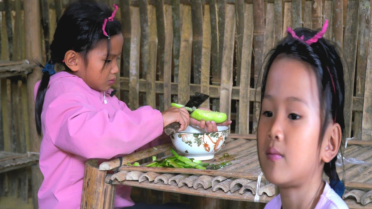 Harvest plams and teach her daughter how to process them _ my daily life