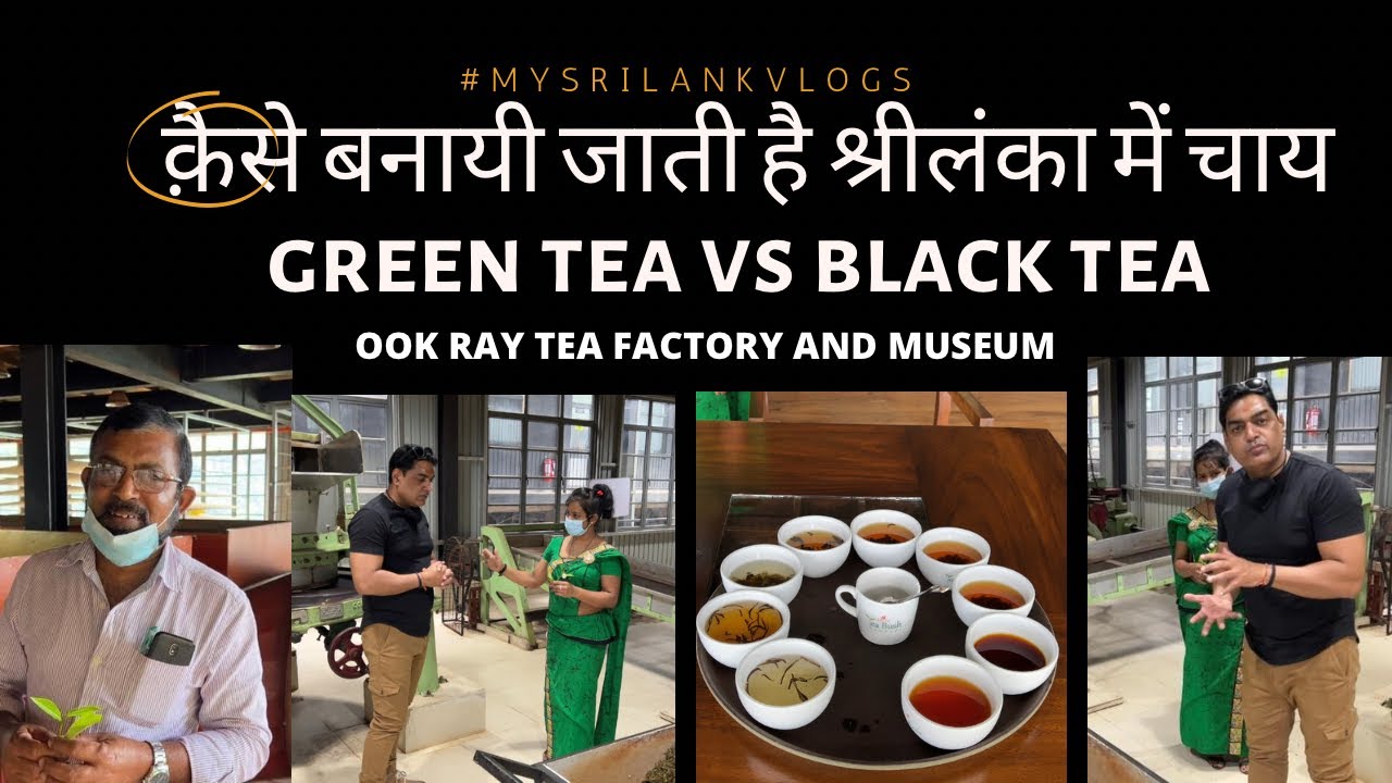 art of manufacturing ceylon tea #sri lanka #Black tea