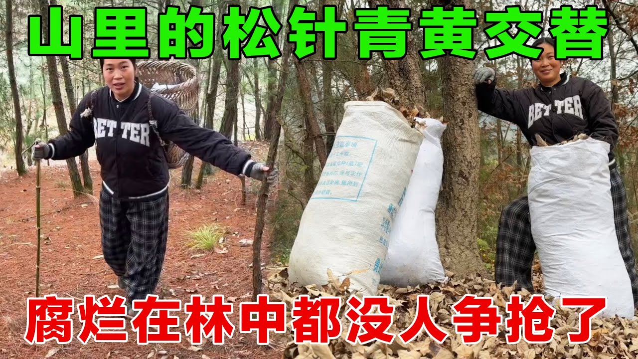 生活在农村，没有了城市里的喧嚣，节奏变得慢下来，何尝不是一种享受