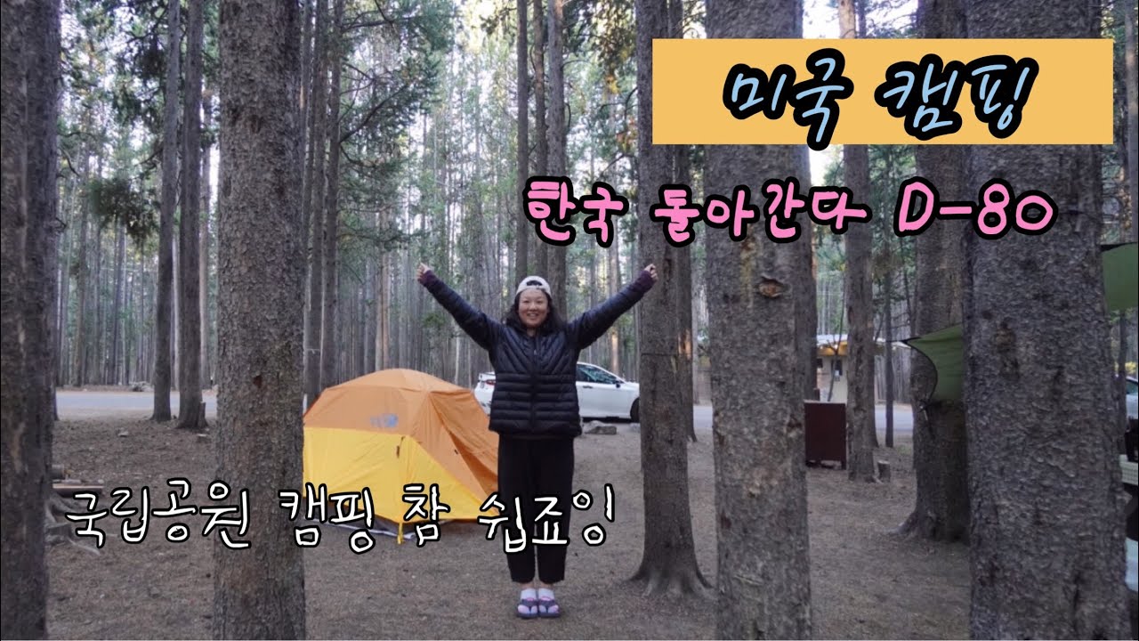세계 최초 국립공원 1호, 옐로우스톤에서 감동의 캠핑 😍
