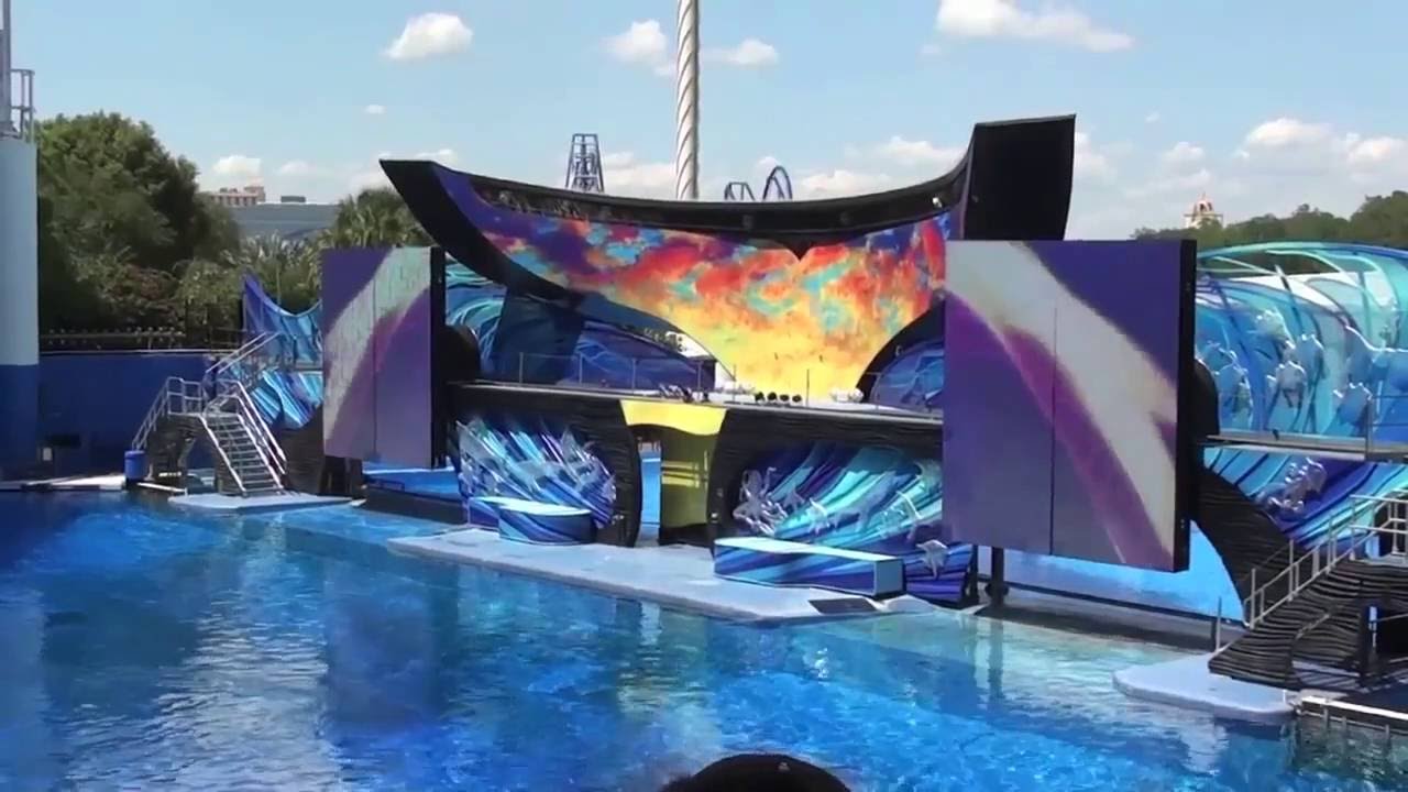 The Shamu Show 