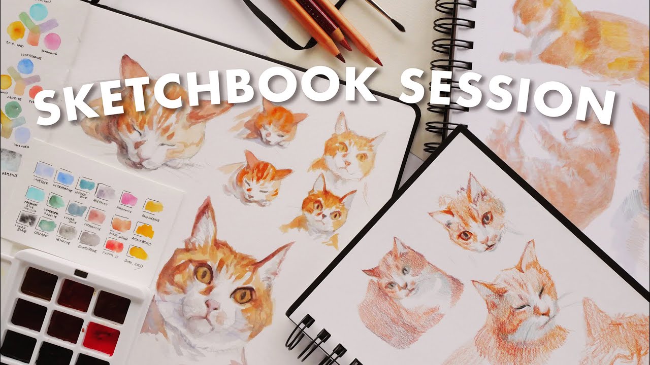 SKETCH WITH ME in mixed media ✦ drawing cats all day & mini sketchbook tour