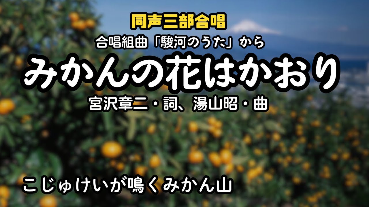 🍊「みかんの花はかおり」♪こじゅけいが鳴くみかん山〜（図南小学校合唱部） #Nコン