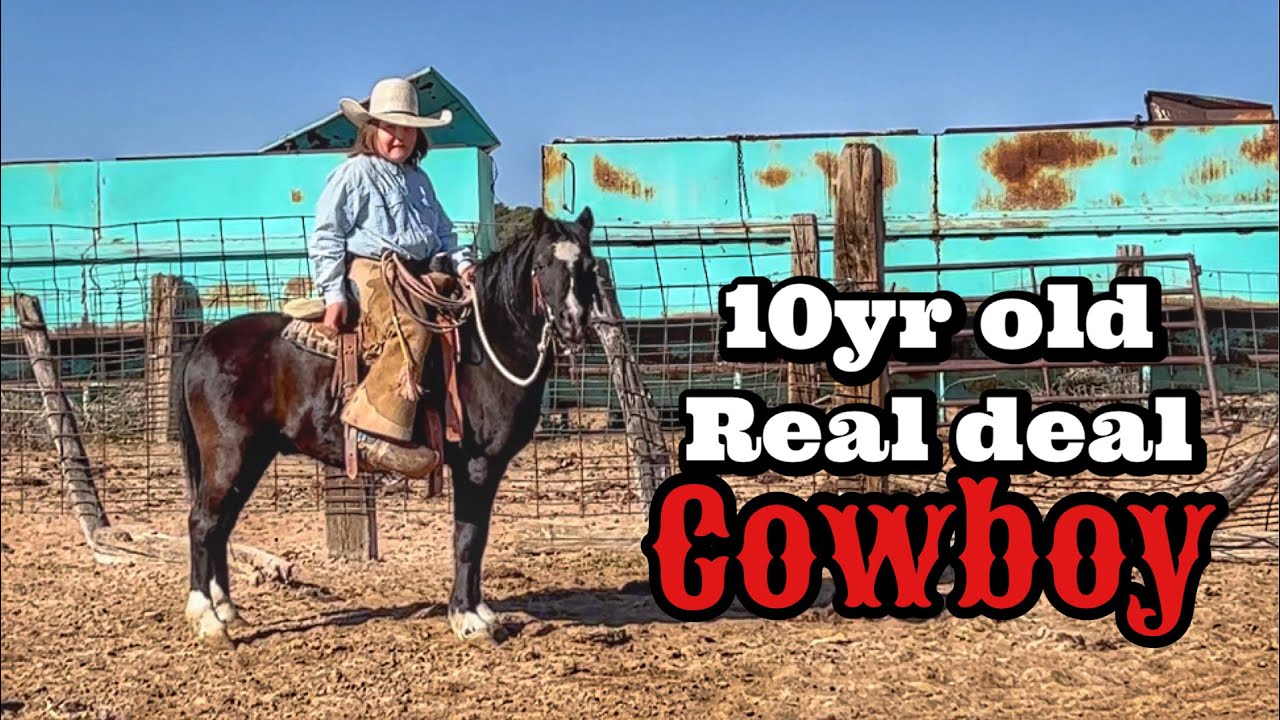 DRONE VIEWS OF SORTING & WORKING CATTLE | JASPER AT WORK