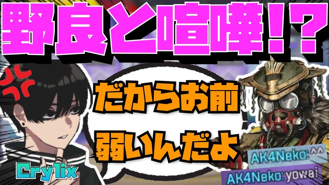 【Crylix】まさかのガチ喧嘩！？野良の味方に煽られる最強の16歳【日本語字幕】【Apex】【Crylix/切り抜き】