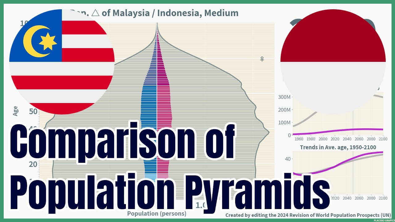[🇲🇾Malaysia vs 🇮🇩Indonesia] Comparison of Population Pyramids (1950-2100), 4 scenarios, #wpp2024