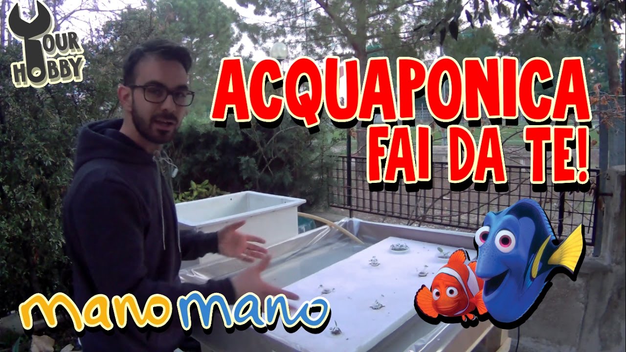 ACQUAPONICA FAI DA TE, NUOVE FRONTIERE DI COLTIVAZIONE