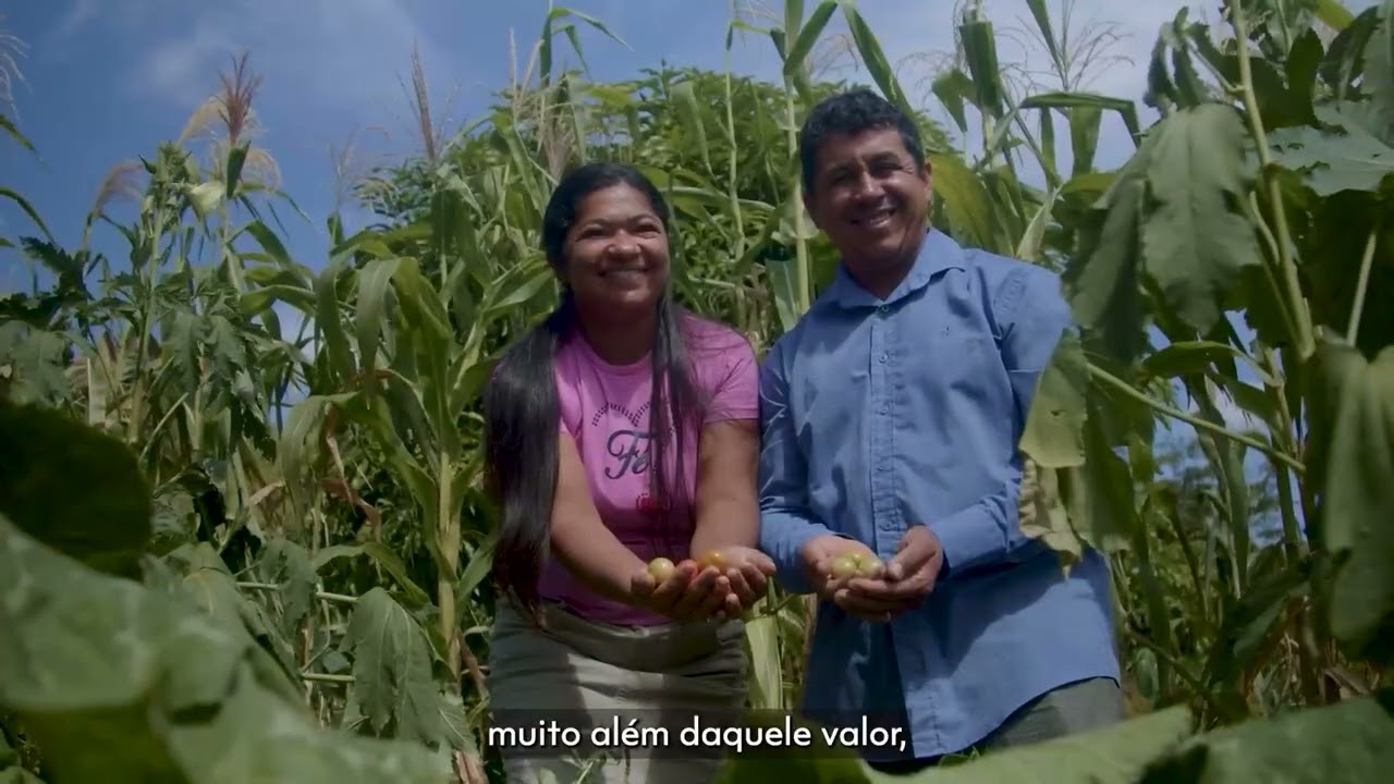 Episódio 1: Conheça o FSA - Números e impacto