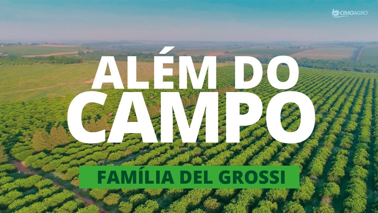 SÉRIE ALÉM DO CAMPO CIMOAGRO - FAMÍLIA DEL GROSSI