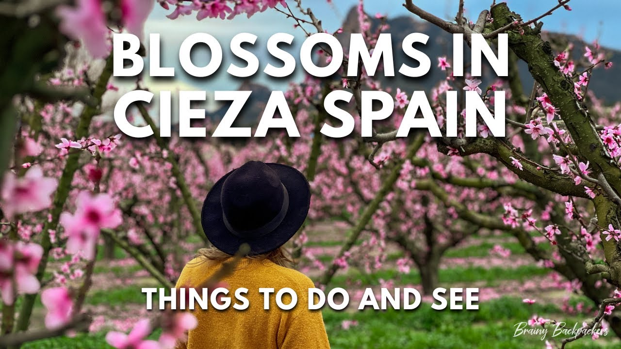 Blossoms in Cieza Spain: What To Do and See in Cieza (Murcia)