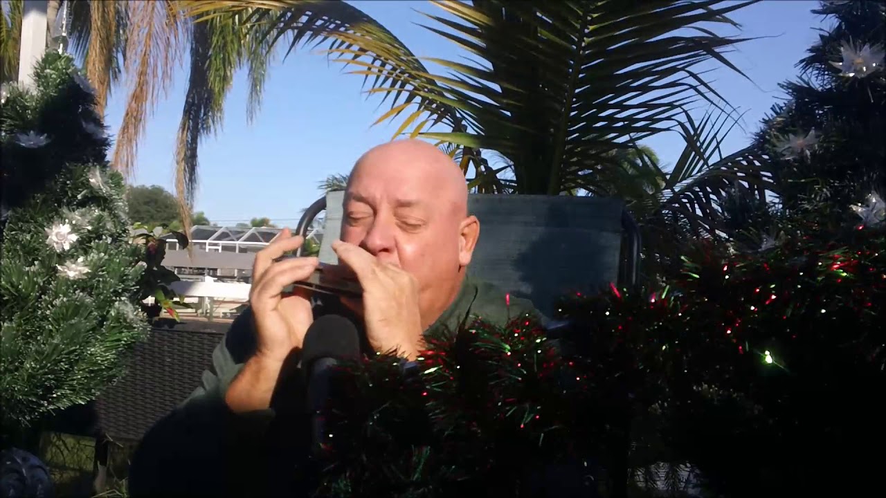 My Favorite Things played by Pete Graber on harmonica