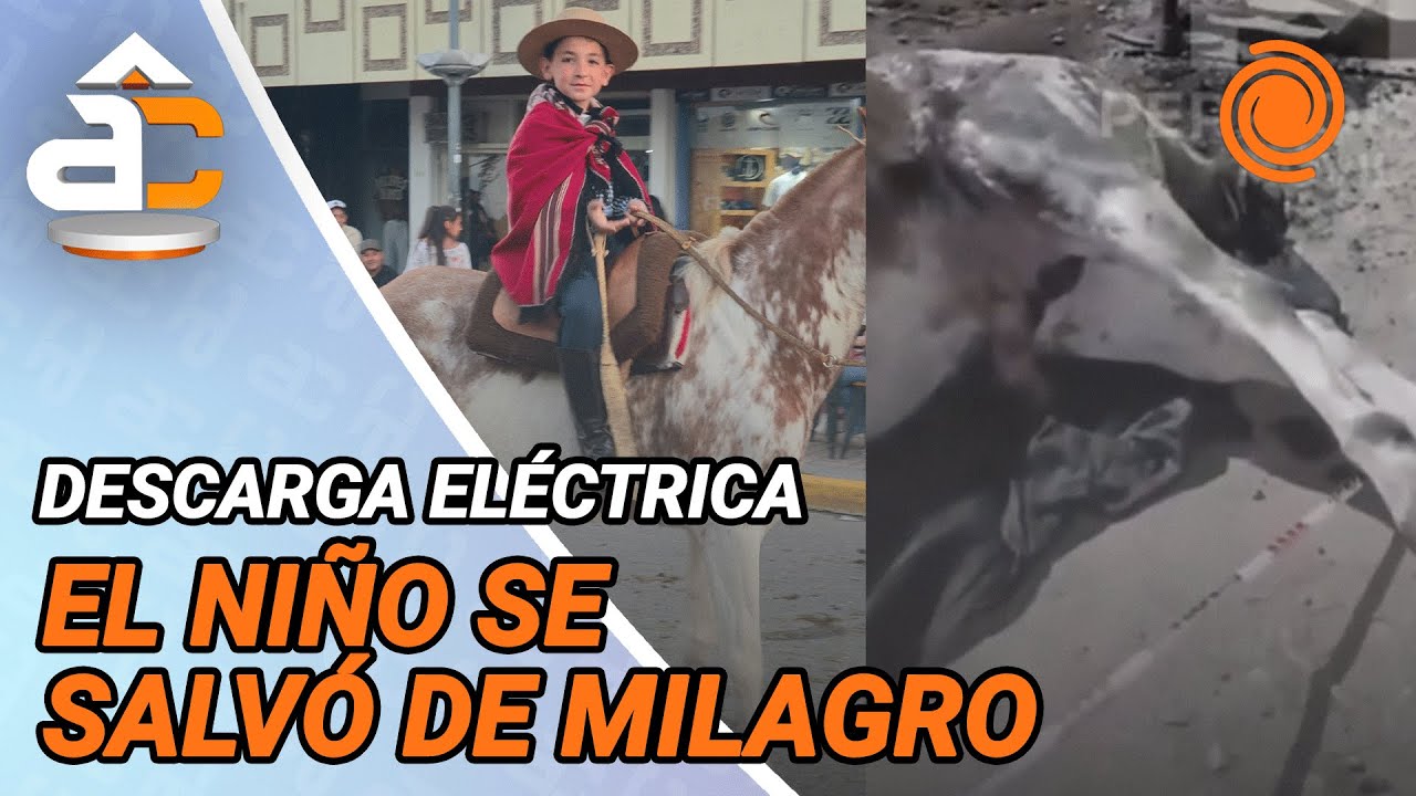 El CABALLO de su hijo MURI&Oacute; ELECTROCUTADO por una conexi&oacute;n ilegal y denuncia que lo amenazaron