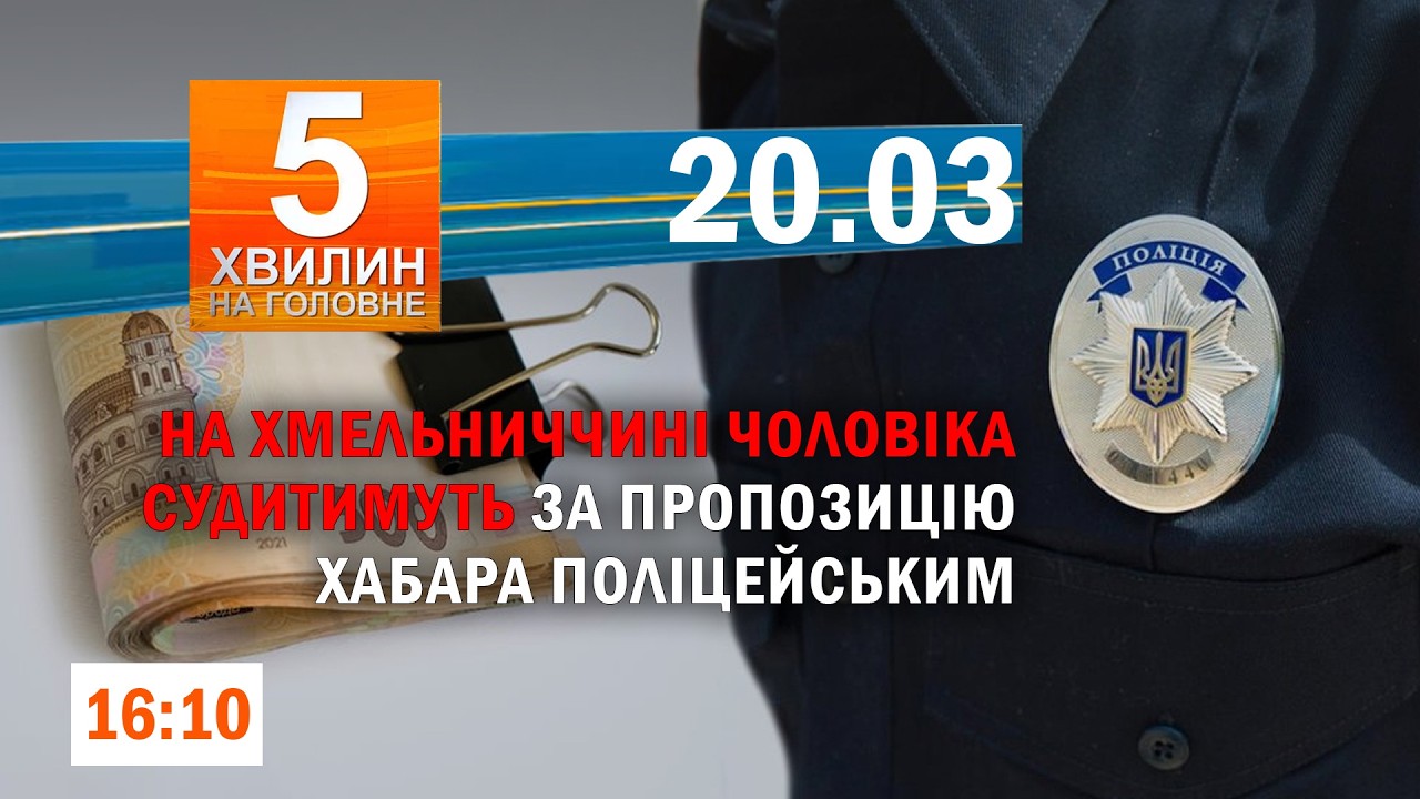 3млн заробили на Полтавщині на вирубці лісу / Мільйони на власну справу для хмельничан