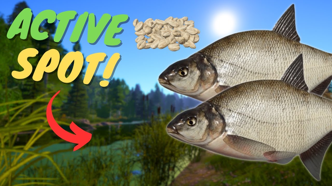 ACTIVE BREAM SPOT IN OLD BURG LAKE! #920 Russian fishing 4