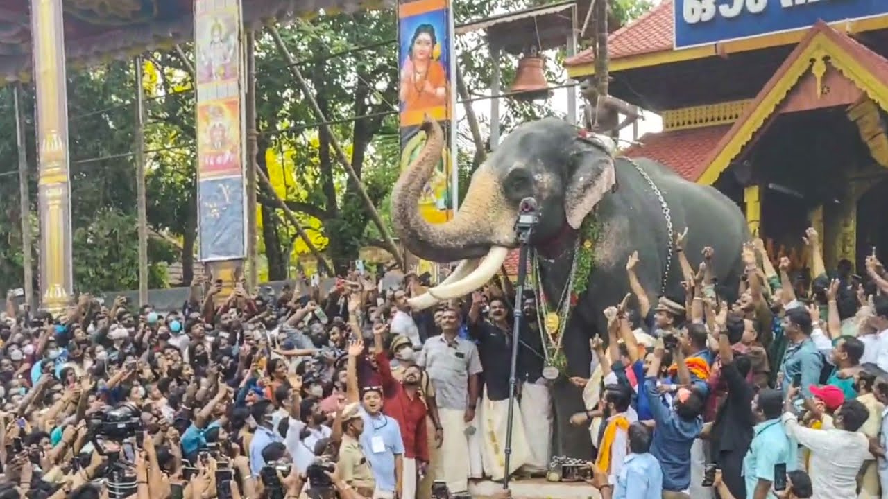 കാളിയുടെ ഒരു മരണമാസ്സ് എൻട്രി🔥 Chirakkal Kalidasan @ Thirunakkara Mahadeva Temple Pakal pooram2022