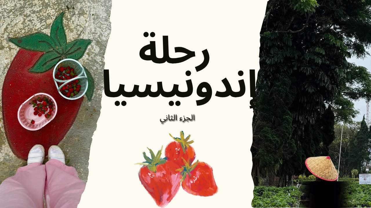رحلتنا إلى إندونيسيا بونشاك 🇲🇨🌴☀️ 