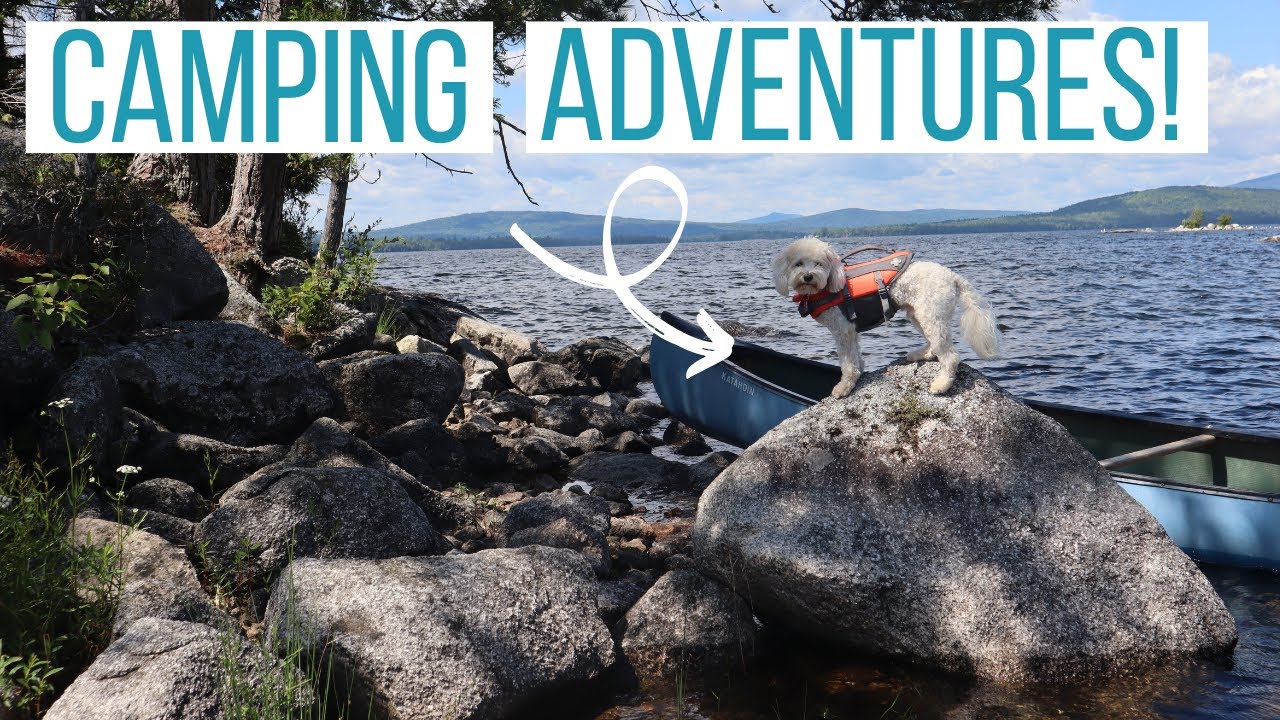 Maltipoo Goes Wilderness Camping! | Hiking, Canoeing, Swimming & Exploring with Rosco the Pup