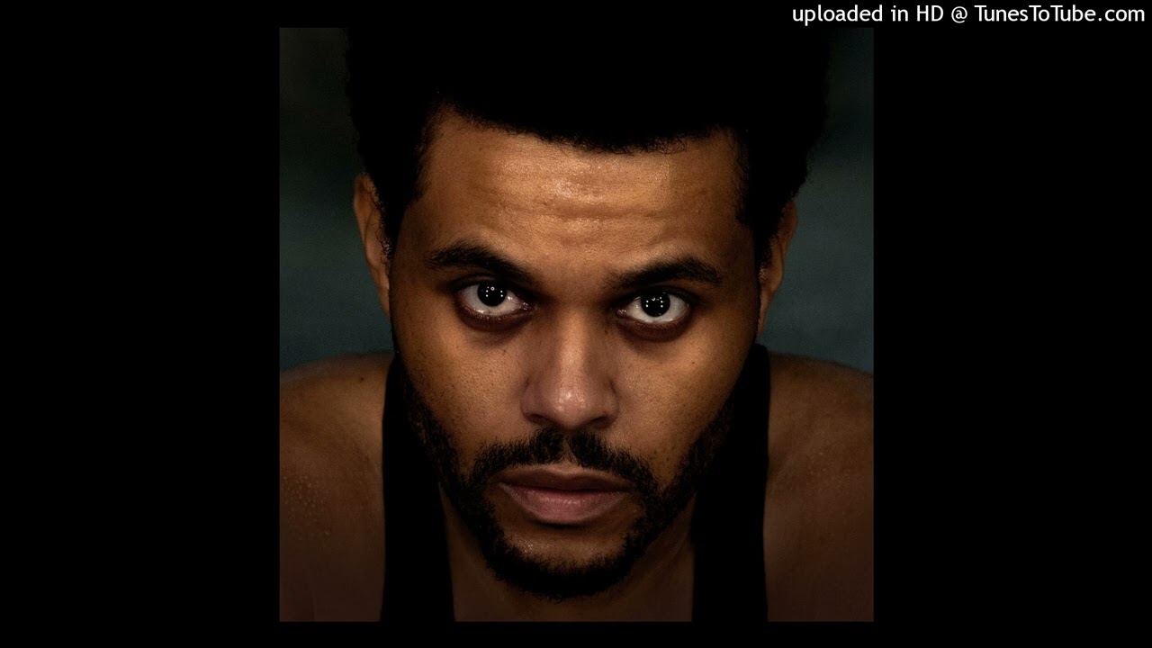 São Paulo / Until We're Skin & Bones