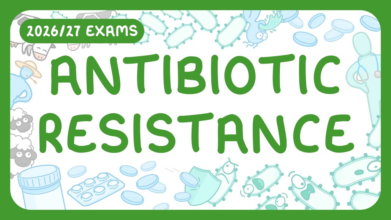 GCSE Biology - Antibiotic Resistance (2026/27 exams)