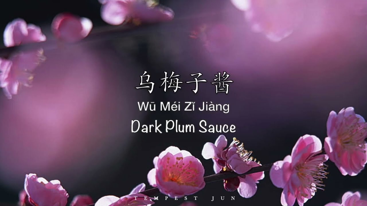乌梅子酱 Dark Plum Sauce [李荣浩 Li RongHao] - Chinese, Pinyin & English Translation 歌词英文翻译