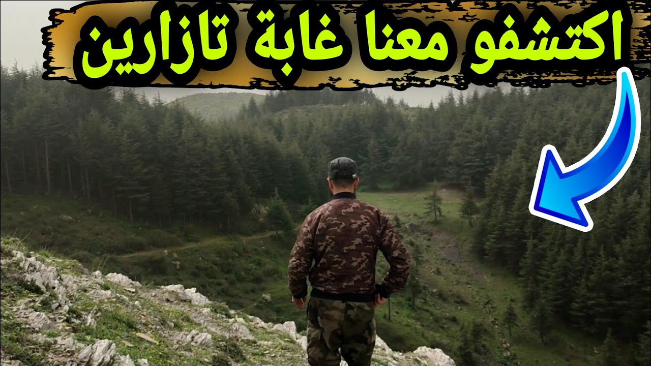 غابة و قمة تازارين كما لم تراهما من قبل ____ Forêt Tazarine à bougara -BLIDA-