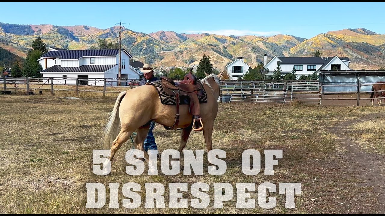 5 Signs of Disrespect