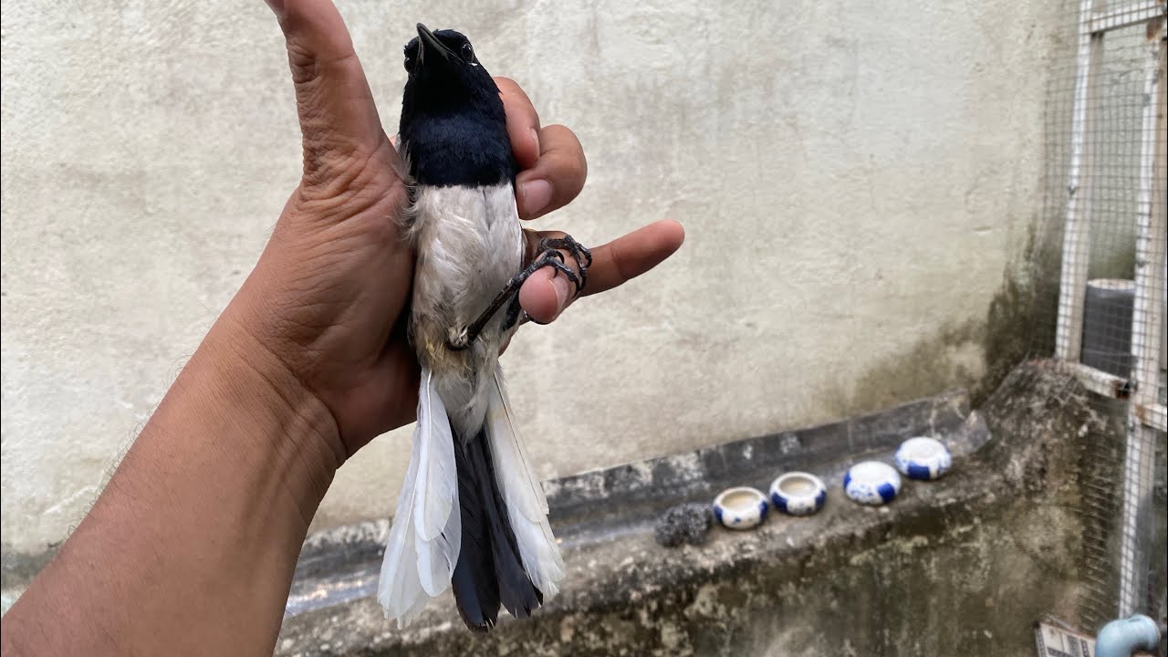 Về lửa Quảng Trị, than, lửa Kontum zalo 0908243495 Khanh Nguyen