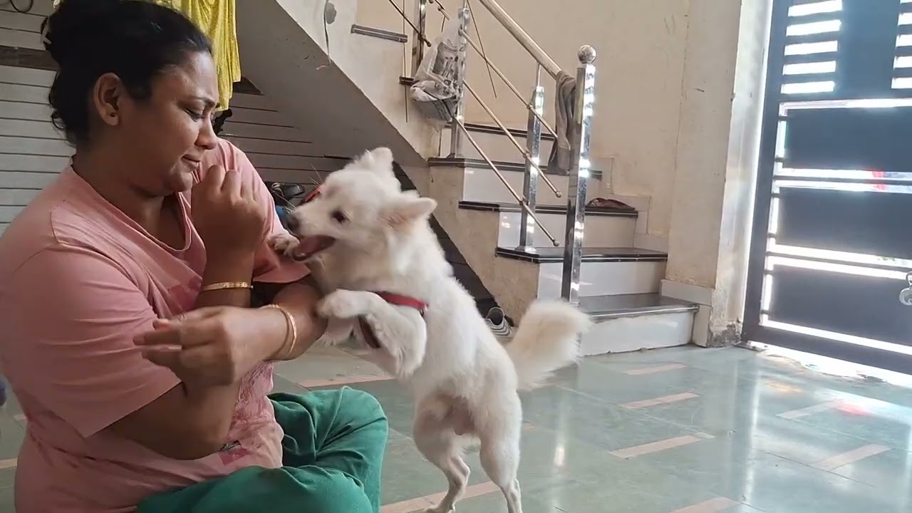 Pappu ne aaj naste me chuha kha liya uske bad me bhai ke kand dekho last tak dekhna maja aayega