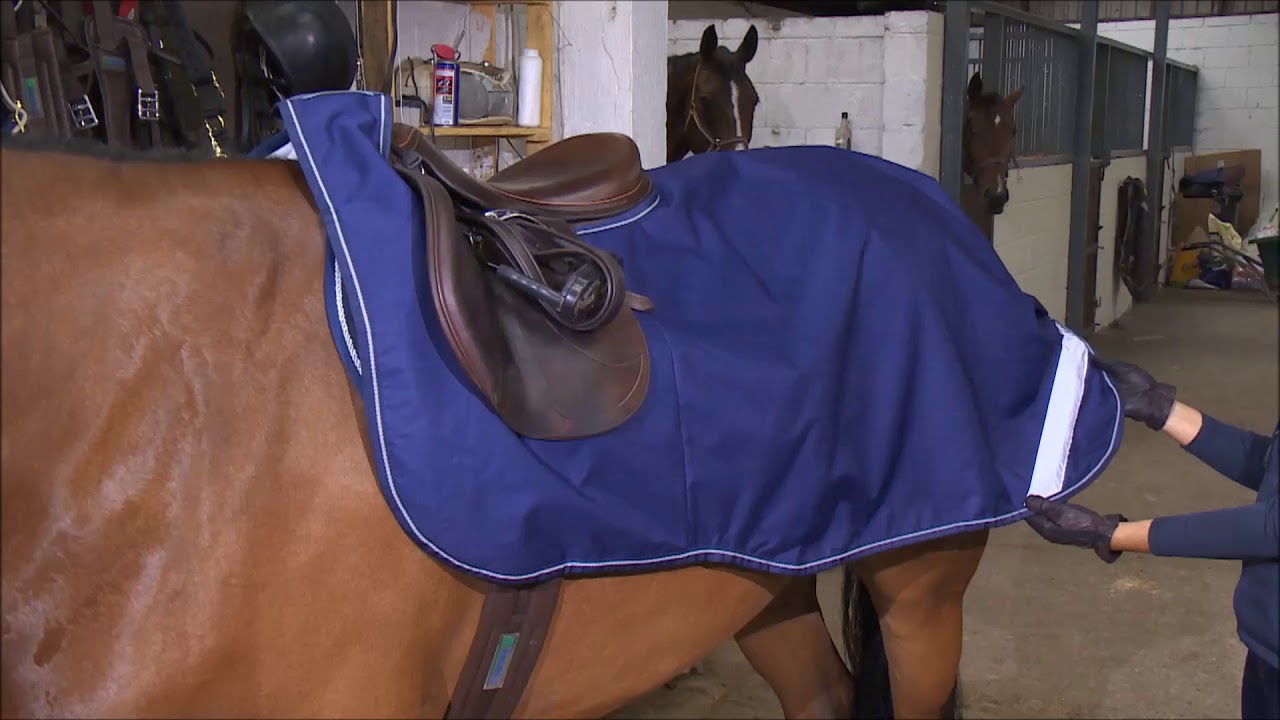 The Bucas Riding Rug