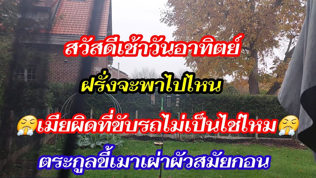 ฝรั่งขี้นกพูดขึ้นมาเมียนี้จุกเหมือนกันเดอใช่ว่าจะเอาใจสาทุกอย่างพี่ชายเคยว่าฝรั่งกลัวยายจ๋าไม่จริง