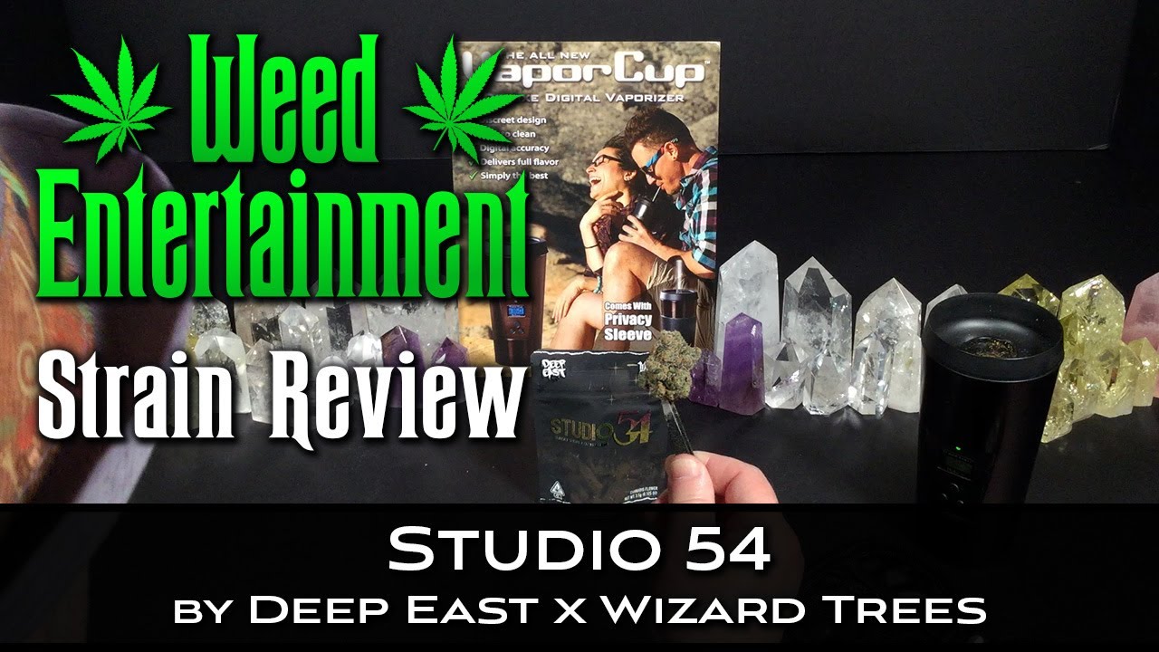 Studio 54 - by Deep East x Wizard Trees - Strain Review - March 2022