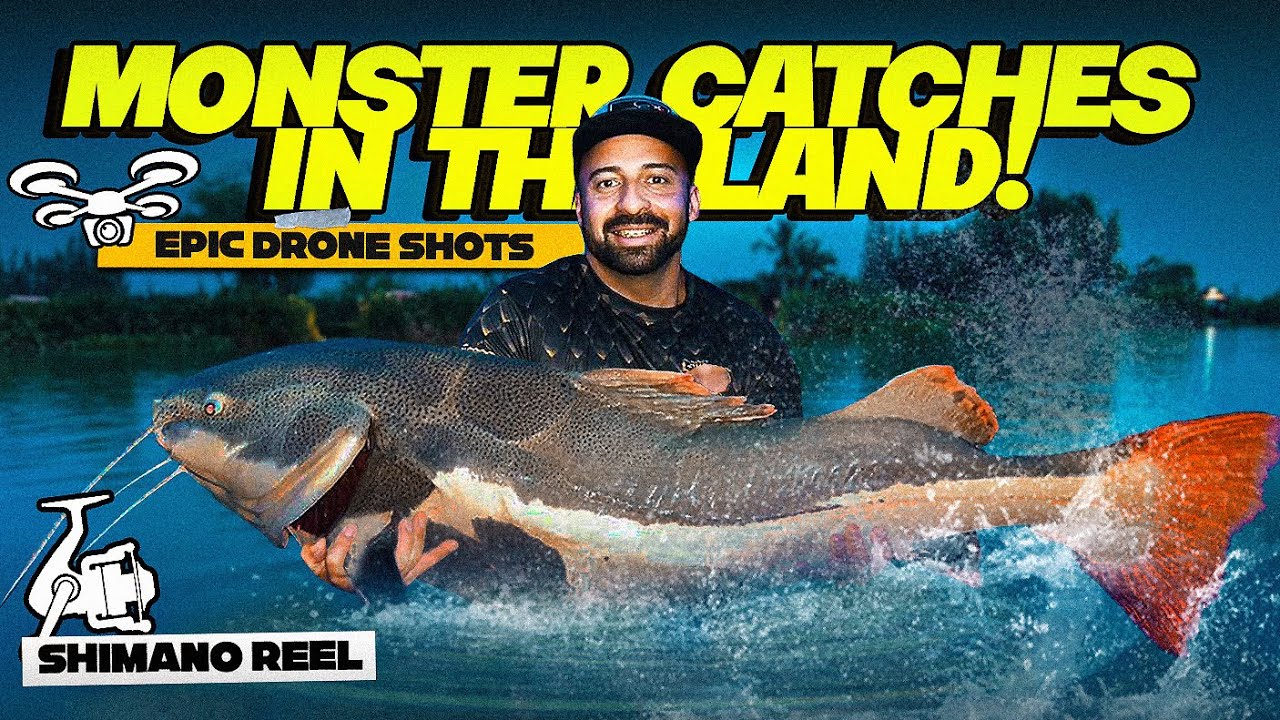 Catching Monster Fish in Thailand: Redtail Catfish & Siamese Carp at Jurassic Mountain