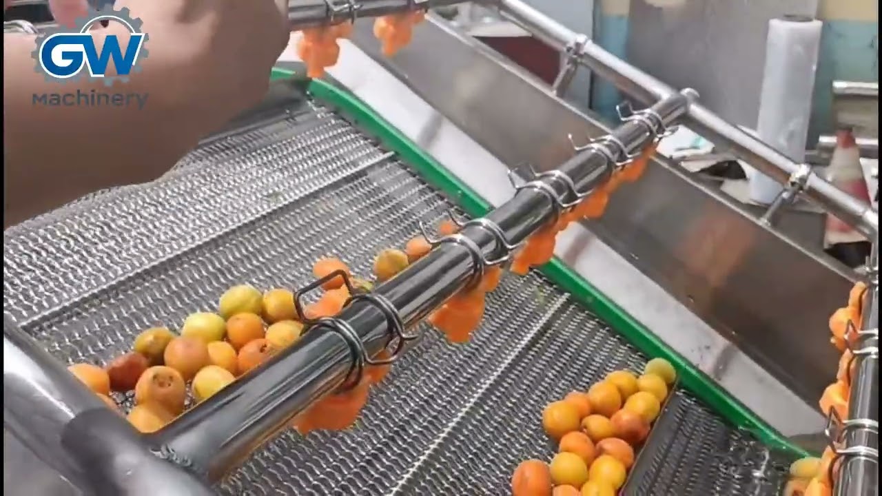 Fruit and vegetable cleaning machine - 1 ton - 2 tons