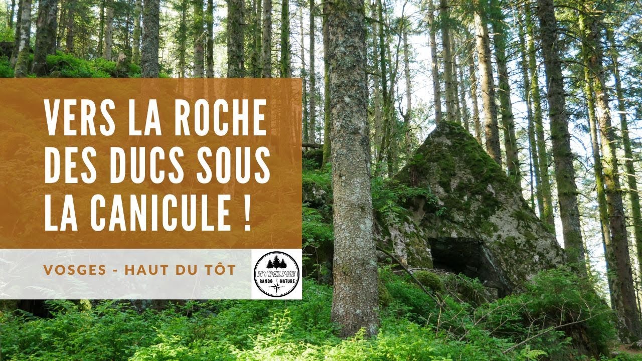 Randonnée de la chambre du loup à la roche des ducs 18 juillet 2022