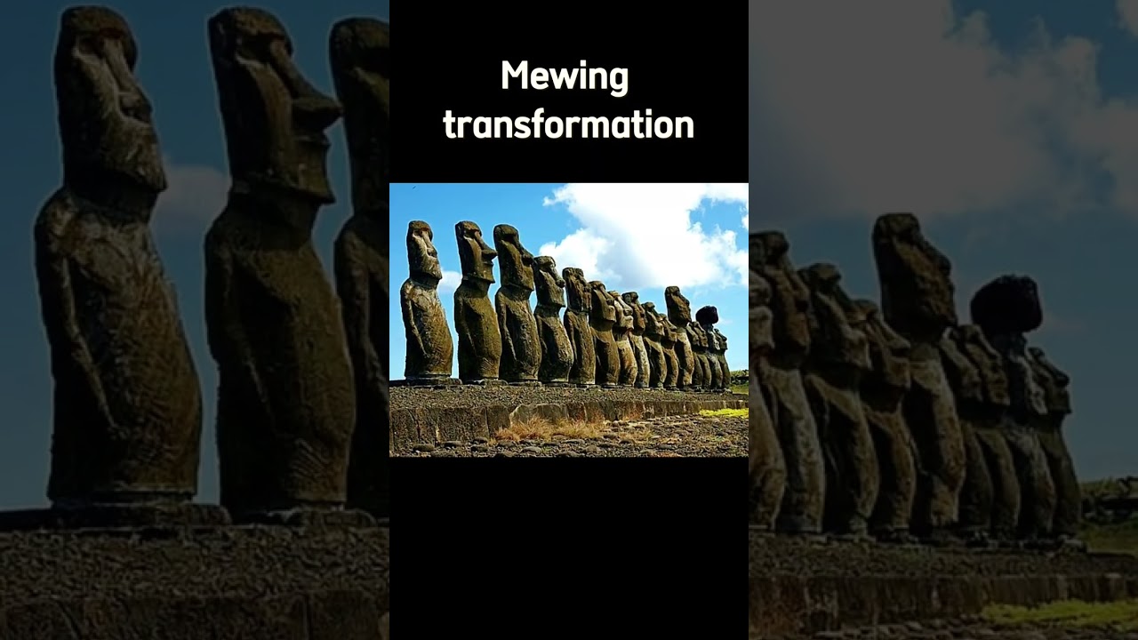 Rock transformed by mewing #mewing #memes #edit #transformation