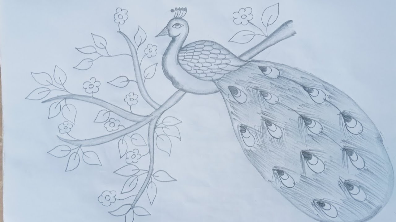 मोर का चित्र बनाइए 2 मिनट में#peacock drawing beautiful peacock how to draw a peacock very easy art 